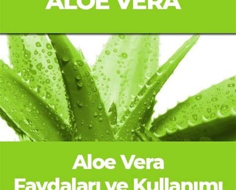 Aloe Vera Yanık İzini Geçirir mi? Doğal Çözüm Yolları Aloe Vera Yanık İzini Geçirir mi? Doğal Çözüm Yolları