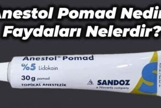 Anestol Yanık Kremi: Kullanım Alanları ve Kullanıcı Yorumları