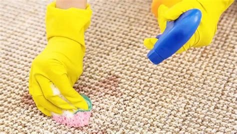 Sarı Yanık Lekesi Nasıl Çıkar? Etkili Temizlik Yöntemleri Sarı Yanık Lekesi Nasıl Çıkar? Etkili Temizlik Yöntemleri