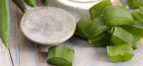 Yanık Tedavisinde Doğal İçeriklerin Rolü: Aloe Vera, Bal ve Diğerleri Yanık Tedavisinde Doğal İçeriklerin Rolü: Aloe Vera, Bal ve Diğerleri