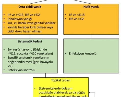 Yanık Tedavisinde İlk Yardımda Kullanılan Ürünlerin Klinik Karşılaştırması Yanık Tedavisinde İlk Yardımda Kullanılan Ürünlerin Klinik Karşılaştırması